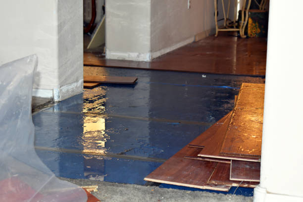 Professional Sewage Cleanup technician working in Davin, WV